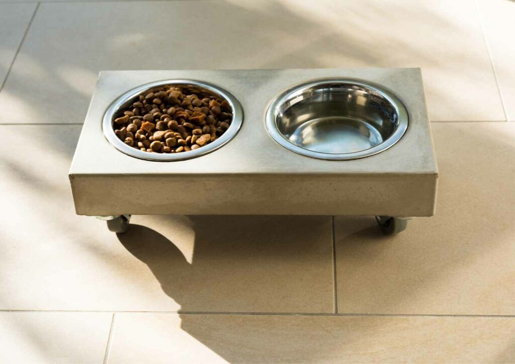 Raised Cat Bowls Could be Ideal for Your Cats